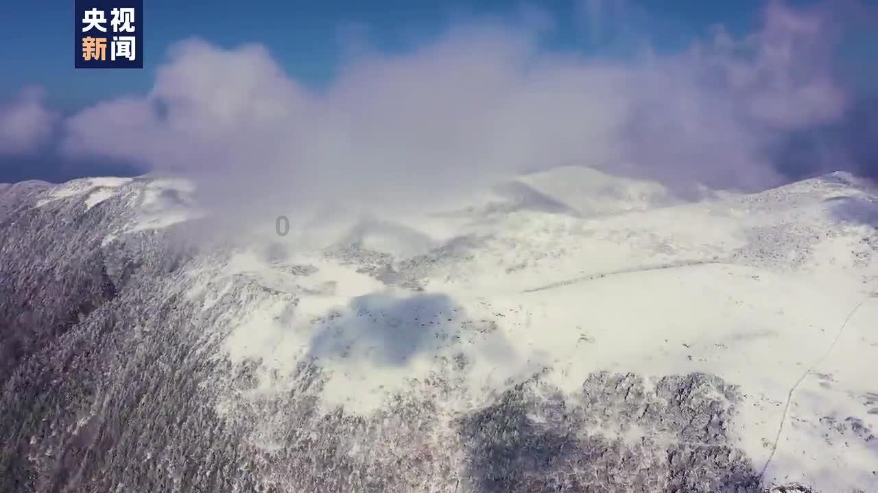 冰箱排名前十的品牌有哪些游戏画面