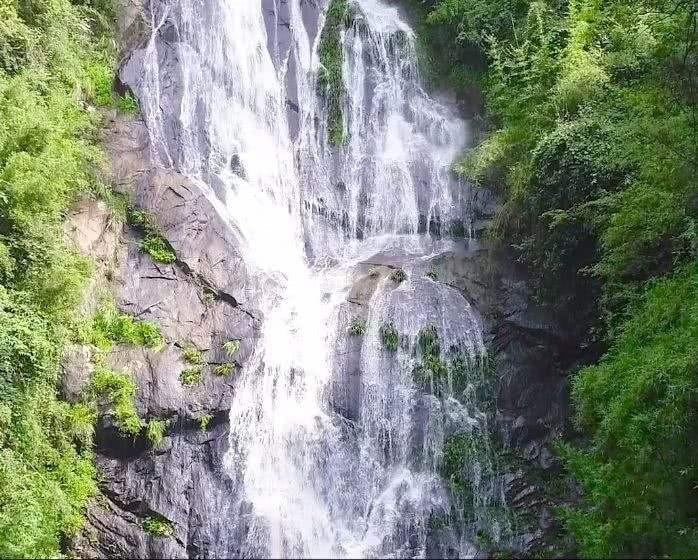 今川义元没死之前，德川家康在今川家什么地位，为什么今川义元死后他有实力搞独立
